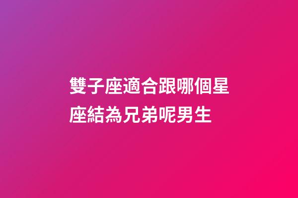 雙子座適合跟哪個星座結為兄弟呢男生-第1張-星座運勢-玄機派