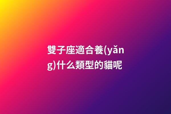 雙子座適合養(yǎng)什么類型的貓呢-第1張-星座運勢-玄機派