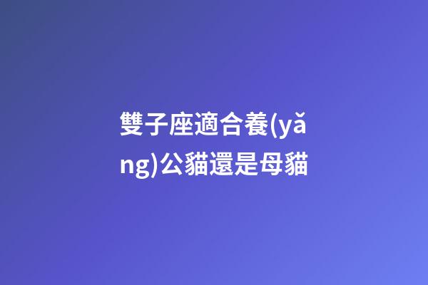 雙子座適合養(yǎng)公貓還是母貓