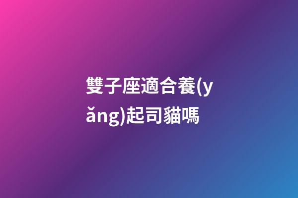 雙子座適合養(yǎng)起司貓嗎-第1張-星座運勢-玄機派