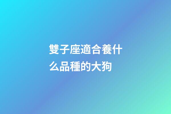 雙子座適合養什么品種的大狗-第1張-星座運勢-玄機派