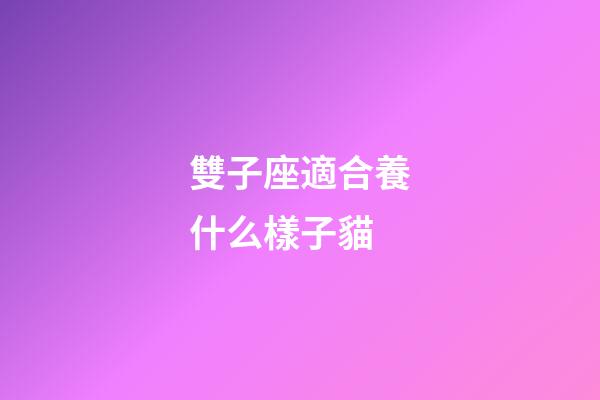雙子座適合養什么樣子貓-第1張-星座運勢-玄機派