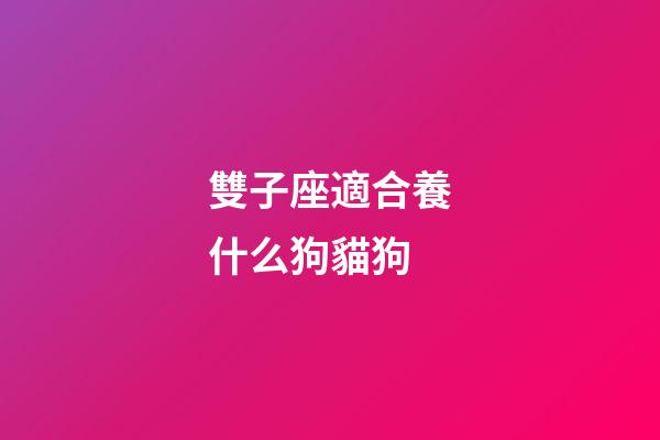 雙子座適合養什么狗貓狗-第1張-星座運勢-玄機派