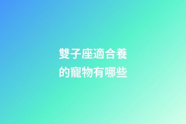 雙子座適合養的寵物有哪些-第1張-星座運勢-玄機派