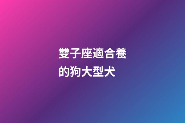雙子座適合養的狗大型犬-第1張-星座運勢-玄機派