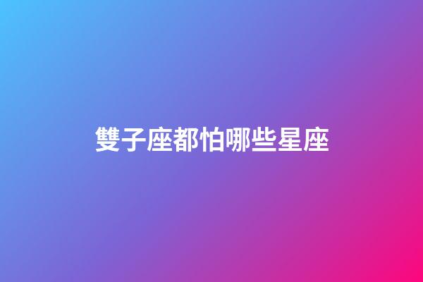 雙子座都怕哪些星座-第1張-星座運勢-玄機派