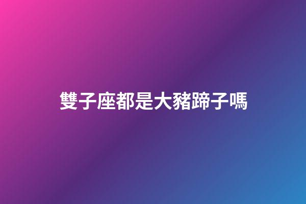 雙子座都是大豬蹄子嗎-第1張-星座運勢-玄機派