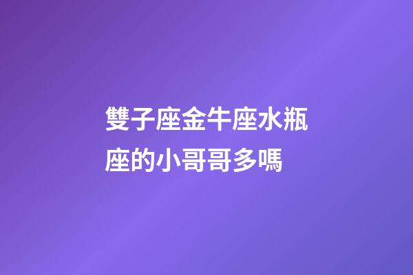 雙子座金牛座水瓶座的小哥哥多嗎