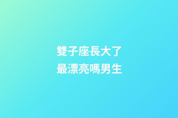 雙子座長大了最漂亮嗎男生-第1張-星座運勢-玄機派