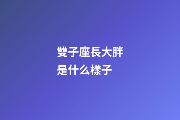 雙子座長大胖是什么樣子-第1張-星座運(yùn)勢-玄機(jī)派