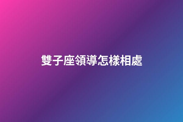 雙子座領導怎樣相處-第1張-星座運勢-玄機派