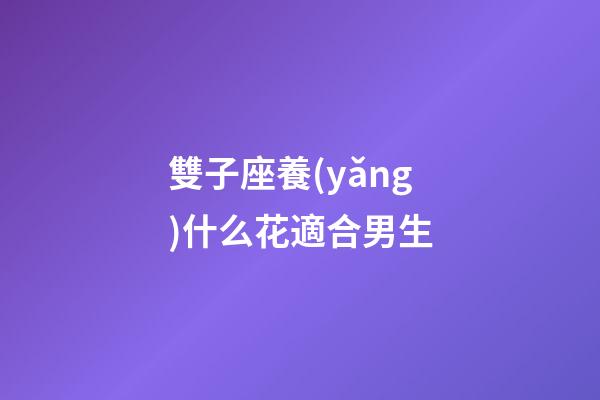 雙子座養(yǎng)什么花適合男生