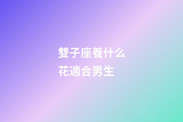 雙子座養什么花適合男生-第1張-星座運勢-玄機派
