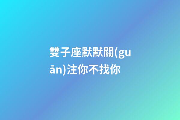 雙子座默默關(guān)注你不找你-第1張-星座運(yùn)勢-玄機(jī)派