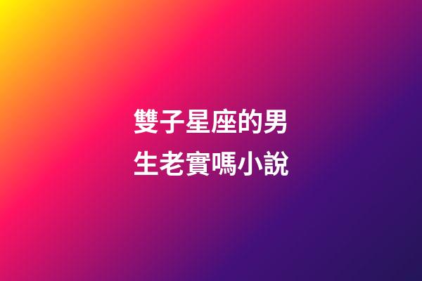 雙子星座的男生老實嗎小說-第1張-星座運勢-玄機派