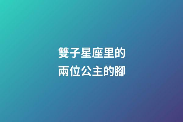 雙子星座里的兩位公主的腳-第1張-星座運(yùn)勢(shì)-玄機(jī)派