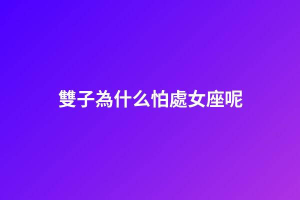 雙子為什么怕處女座呢-第1張-星座運(yùn)勢-玄機(jī)派