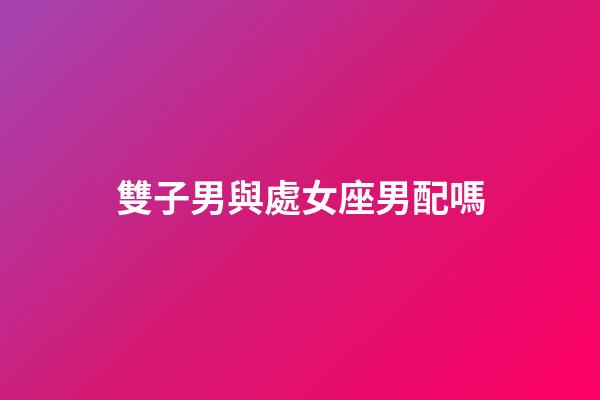 雙子男與處女座男配嗎-第1張-星座運勢-玄機派