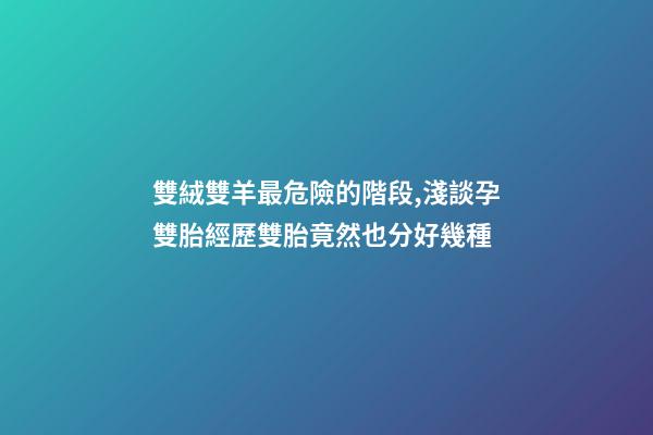 雙絨雙羊最危險的階段,淺談孕雙胎經歷雙胎竟然也分好幾種-第1張-觀點-玄機派