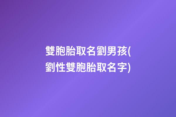 雙胞胎取名劉男孩(劉性雙胞胎取名字)