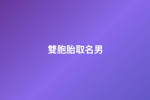 雙胞胎取名男(雙胞胎取名男知乎)-第1張-男孩起名-玄機派