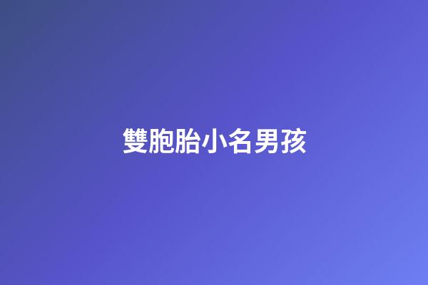 雙胞胎小名男孩(雙胞胎小名男孩名字大全)-第1張-男孩起名-玄機派