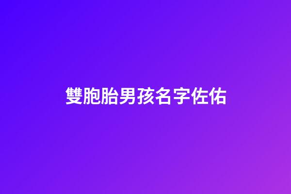 雙胞胎男孩名字佐佑(雙胞胎名字帶左右)-第1張-男孩起名-玄機(jī)派
