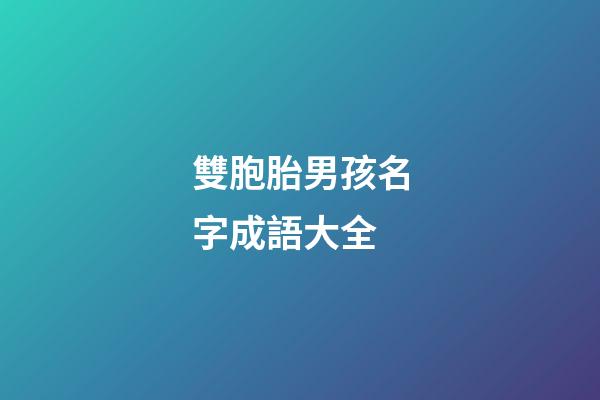 雙胞胎男孩名字成語大全(雙胞胎男寶寶取名成語)-第1張-男孩起名-玄機派