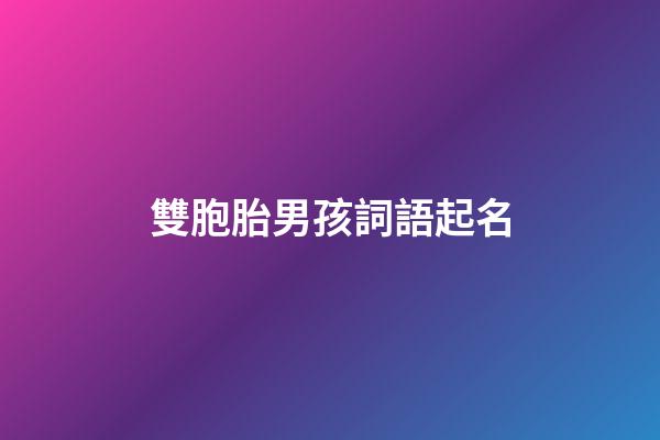 雙胞胎男孩詞語起名(雙胞胎男孩起名字好寓意的字)-第1張-男孩起名-玄機派