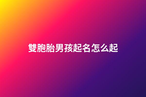 雙胞胎男孩起名怎么起(雙胞胎男孩起名雙胞胎男孩名字)-第1張-男孩起名-玄機(jī)派