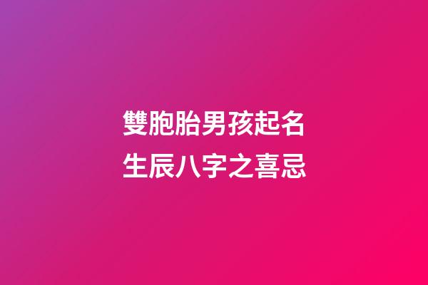 雙胞胎男孩起名生辰八字之喜忌