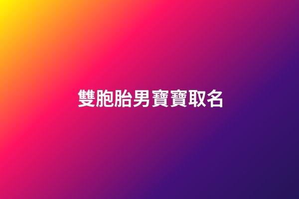 雙胞胎男寶寶取名(雙胞胎男寶寶取名字大全集2023)-第1張-男孩起名-玄機派