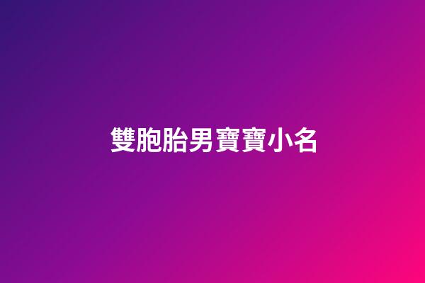 雙胞胎男寶寶小名(雙胞胎男寶寶小名大全)-第1張-男孩起名-玄機(jī)派