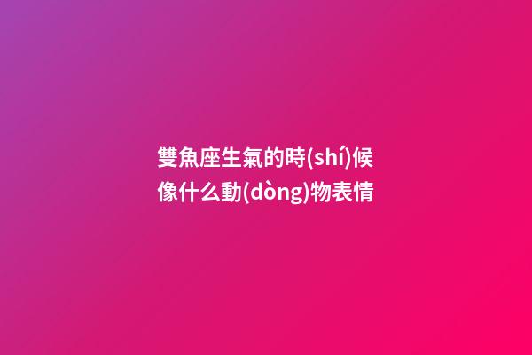 雙魚座生氣的時(shí)候像什么動(dòng)物表情