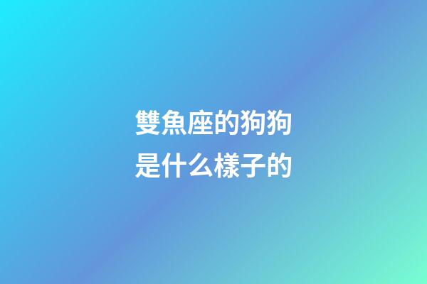 雙魚座的狗狗是什么樣子的-第1張-星座運(yùn)勢(shì)-玄機(jī)派
