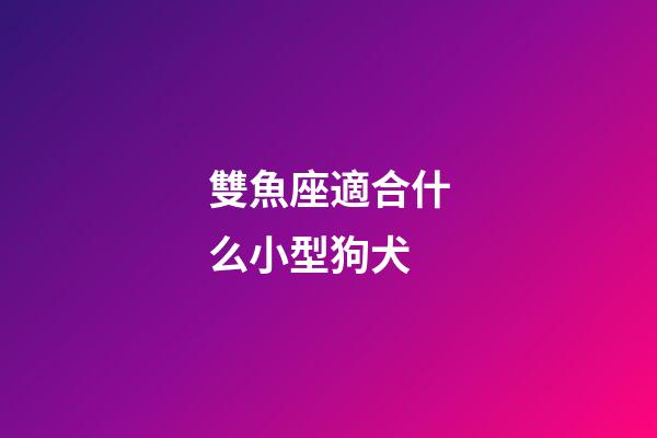 雙魚座適合什么小型狗犬-第1張-星座運勢-玄機派