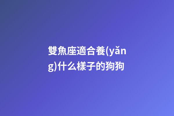 雙魚座適合養(yǎng)什么樣子的狗狗-第1張-星座運(yùn)勢(shì)-玄機(jī)派