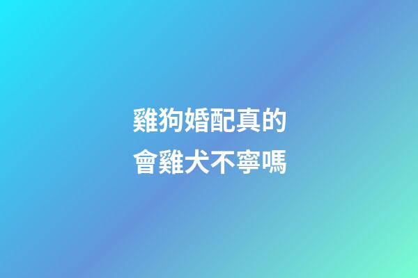 雞狗婚配真的會雞犬不寧嗎