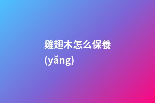 雞翅木怎么保養(yǎng)