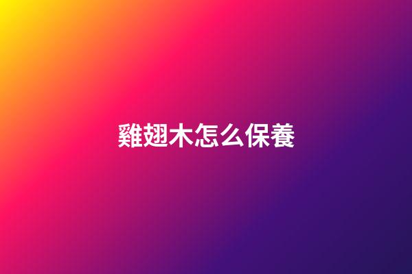 雞翅木怎么保養