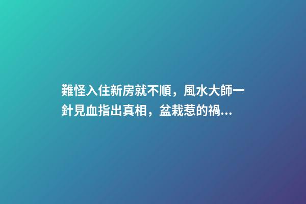 難怪入住新房就不順，風水大師一針見血指出真相，盆栽惹的禍！