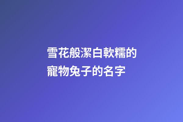 雪花般潔白軟糯的寵物兔子的名字