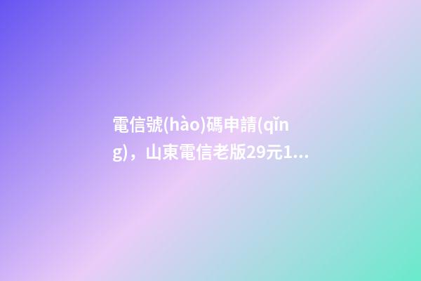 電信號(hào)碼申請(qǐng)，山東電信老版29元100g星卡【附神秘代碼】-第1張-觀點(diǎn)-玄機(jī)派