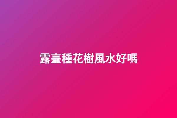 露臺種花樹風水好嗎