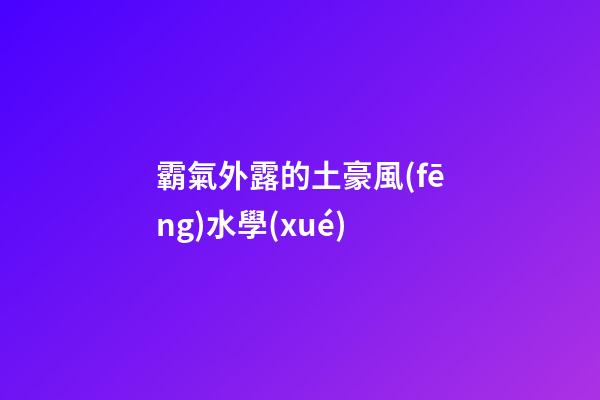 霸氣外露的土豪風(fēng)水學(xué)