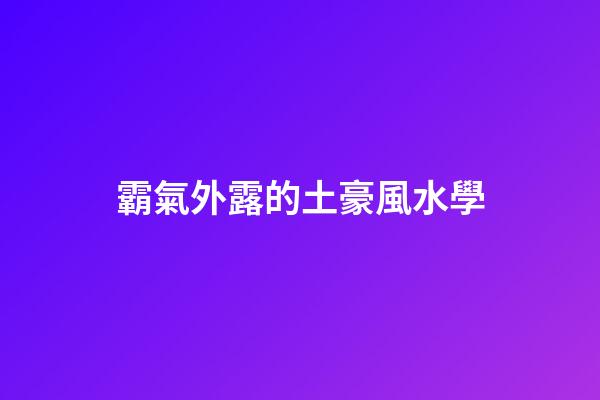 霸氣外露的土豪風水學