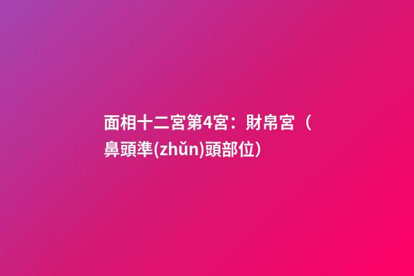 面相十二宮第4宮：財帛宮（鼻頭準(zhǔn)頭部位）