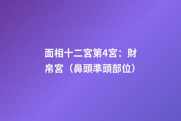 面相十二宮第4宮：財帛宮（鼻頭準頭部位）