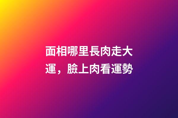 面相哪里長肉走大運，臉上肉看運勢