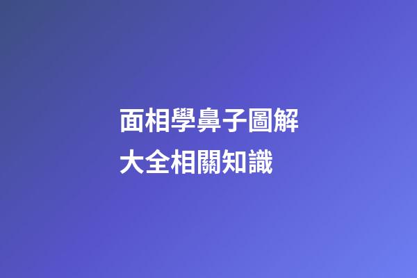面相學鼻子圖解大全相關知識